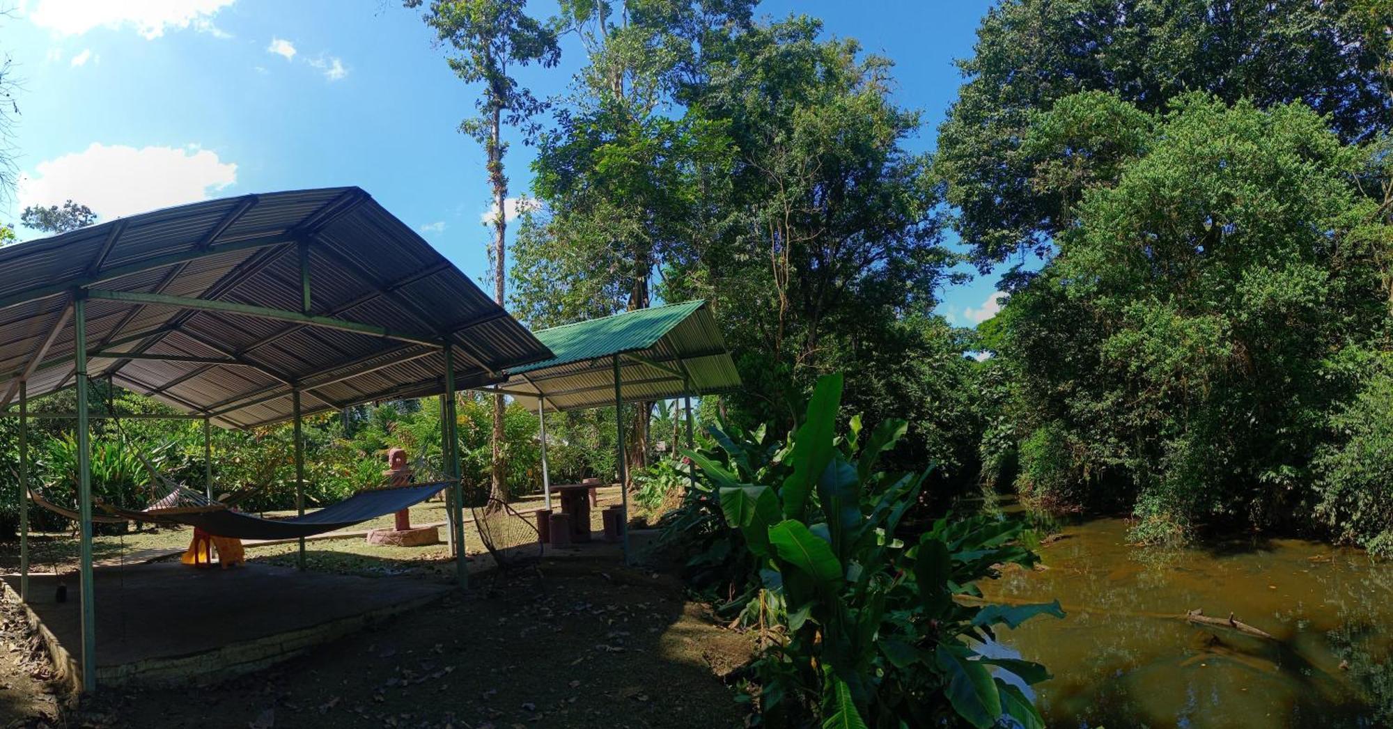Finca La Paz - Sarapiqui Puerto Viejo de Sarapiqui 외부 사진