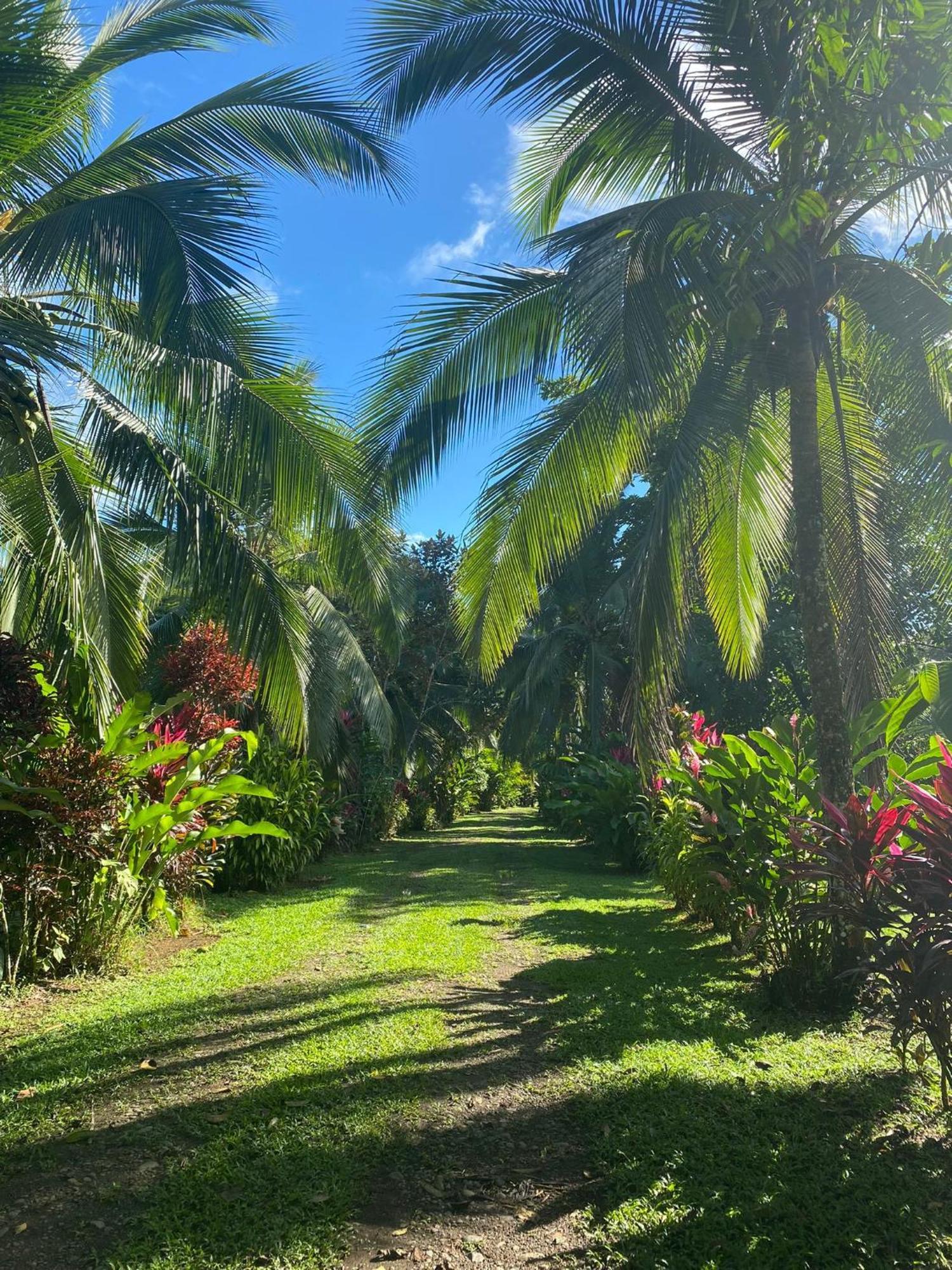 Finca La Paz - Sarapiqui Puerto Viejo de Sarapiqui 외부 사진